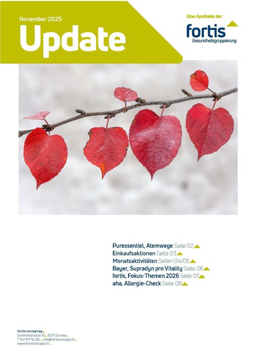 Update November 2025